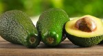 Aguacate